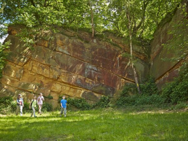 Bad Bentheim Canyon